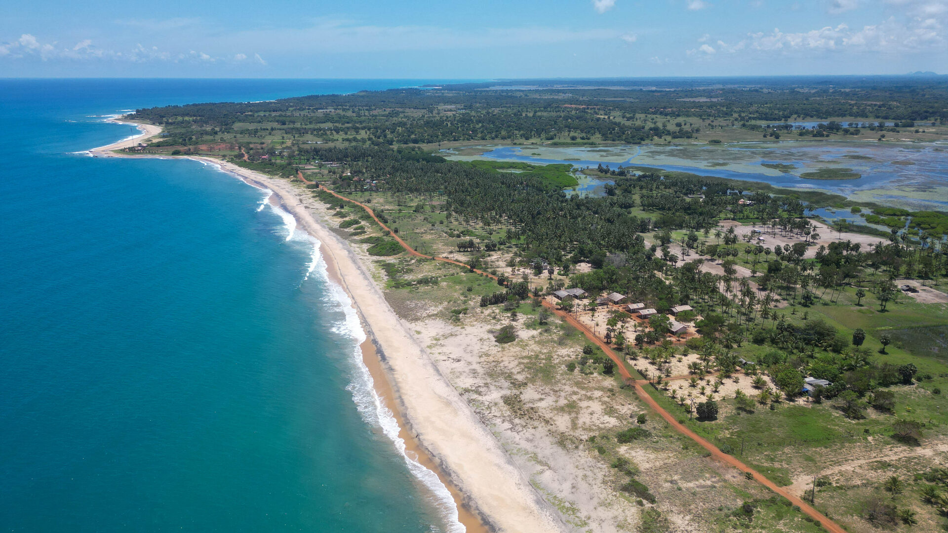 Palm-fringed beach frontage at the property